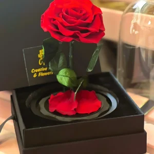 Infinity Roses Flower Gift